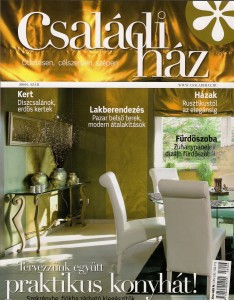 Családi ház 2008.június